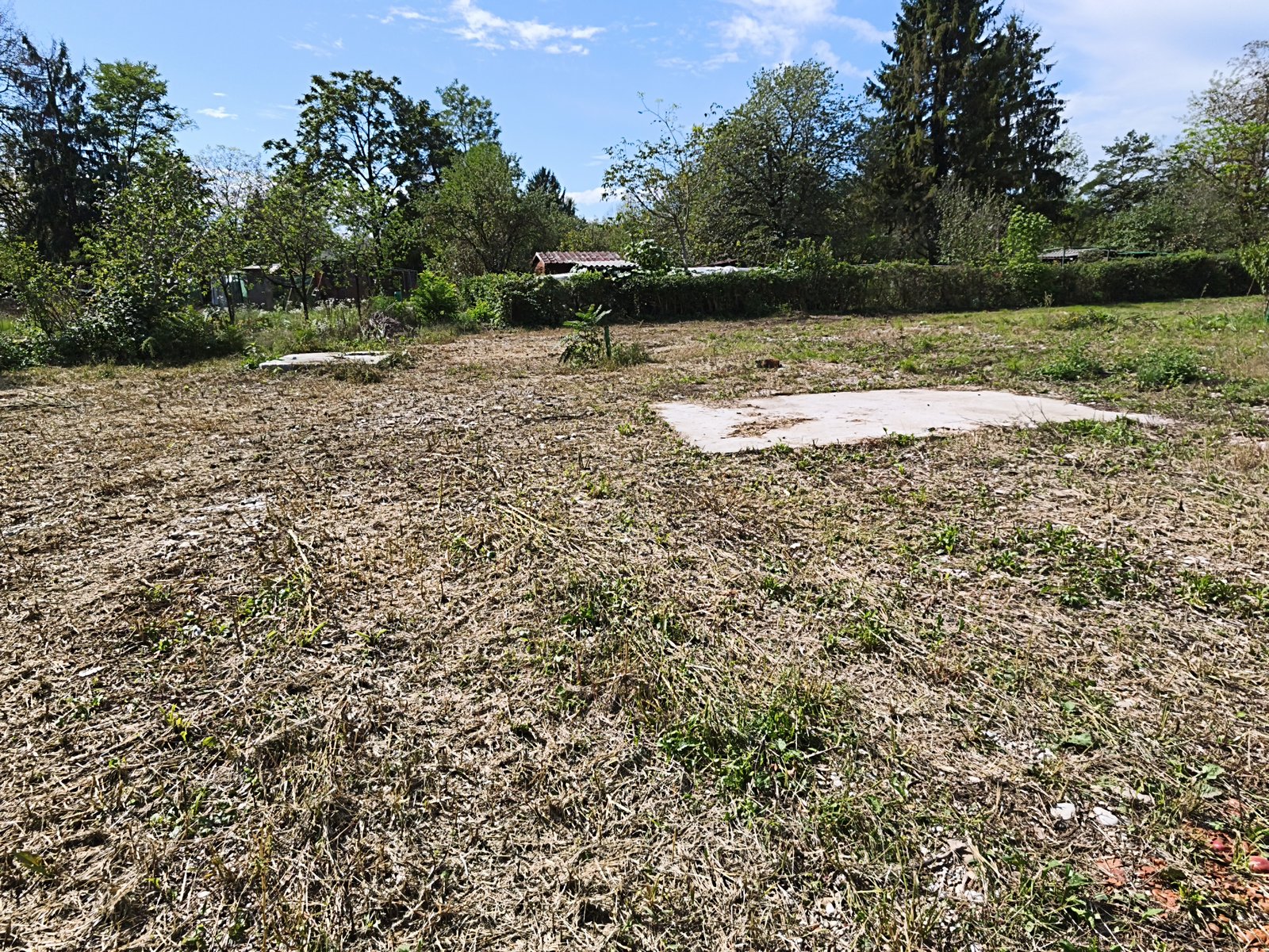Prost vrtiček B3-2049/2 — fotografija 3