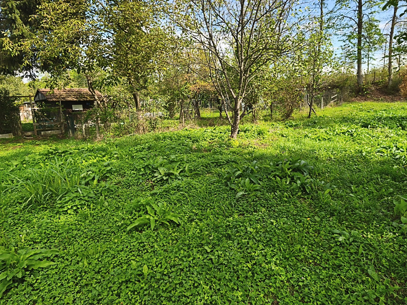 Prost vrtiček B8-2130 — fotografija 1