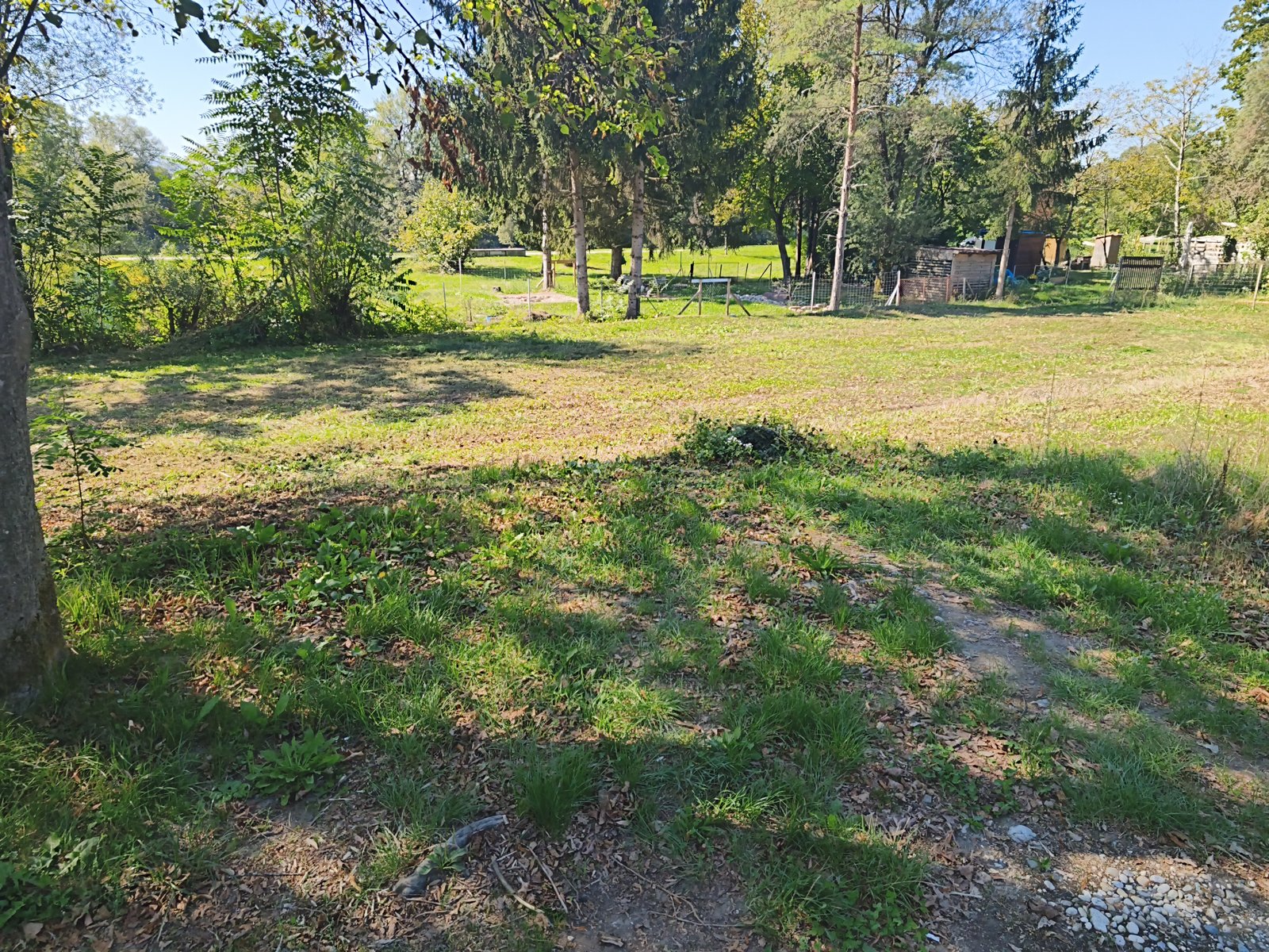 Prost vrtiček D2-2248/3 — fotografija 2