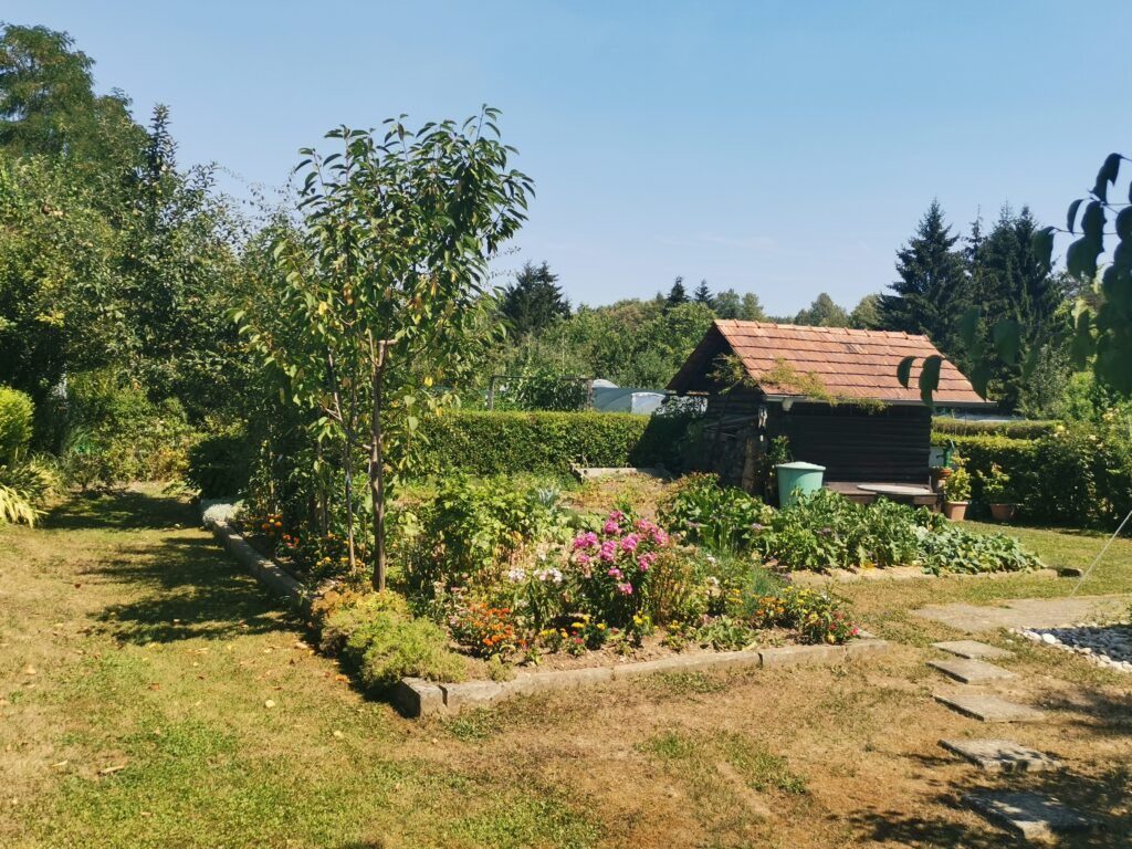 Zelenjava na urbanem vrtu v Črnučah